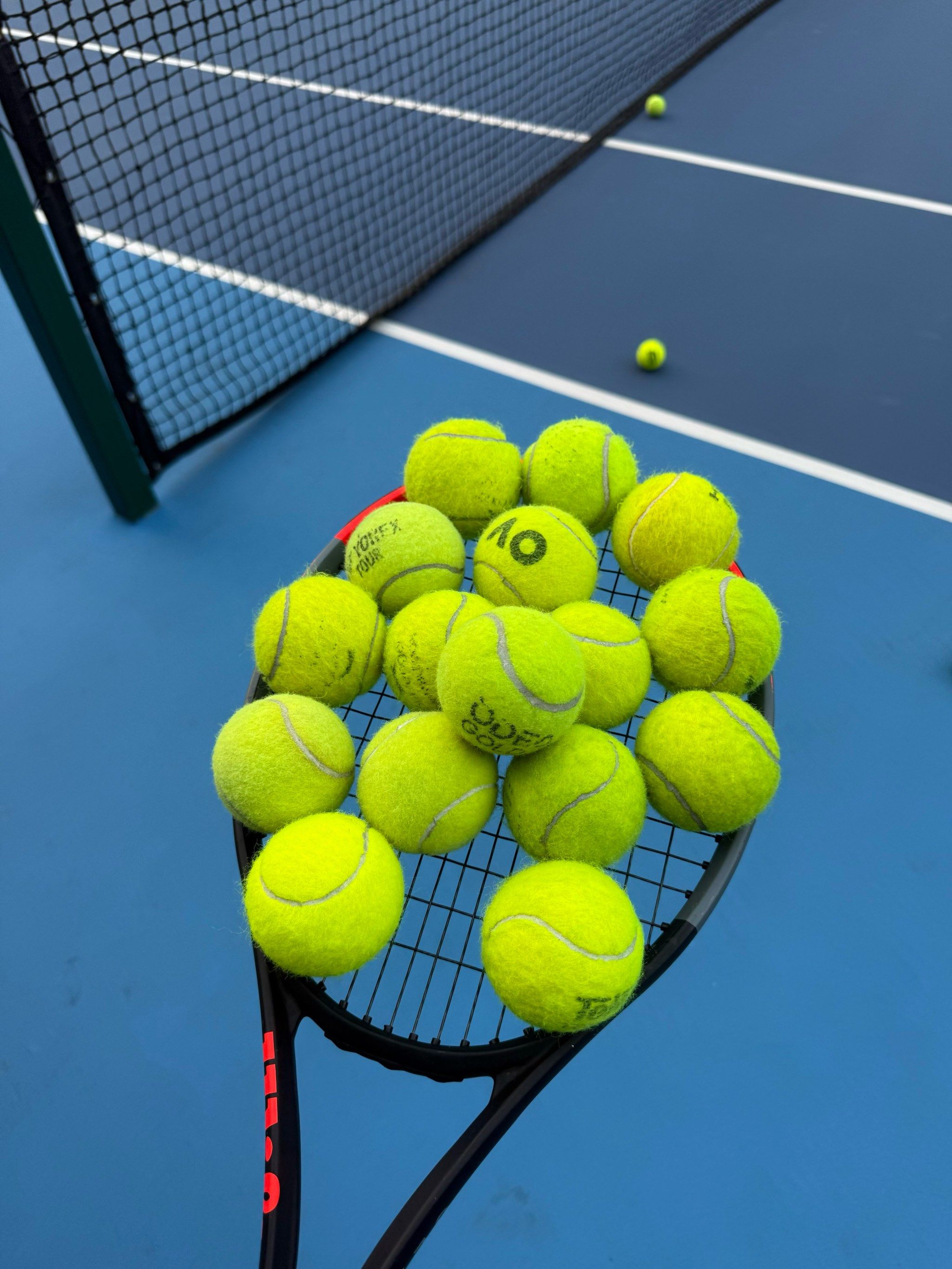 的转会窗中 的转会窗中