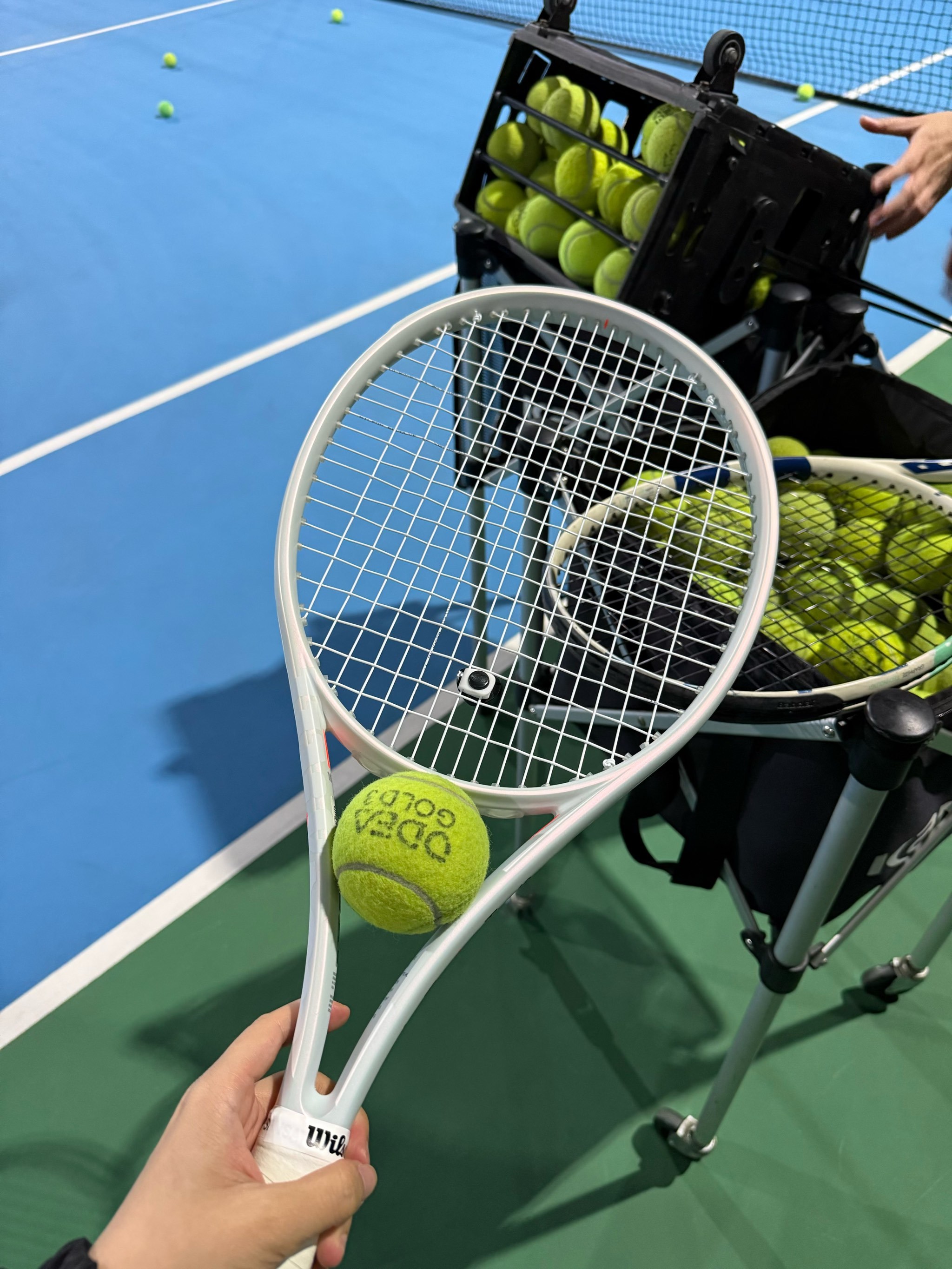 宁波男篮主 宁波男篮主